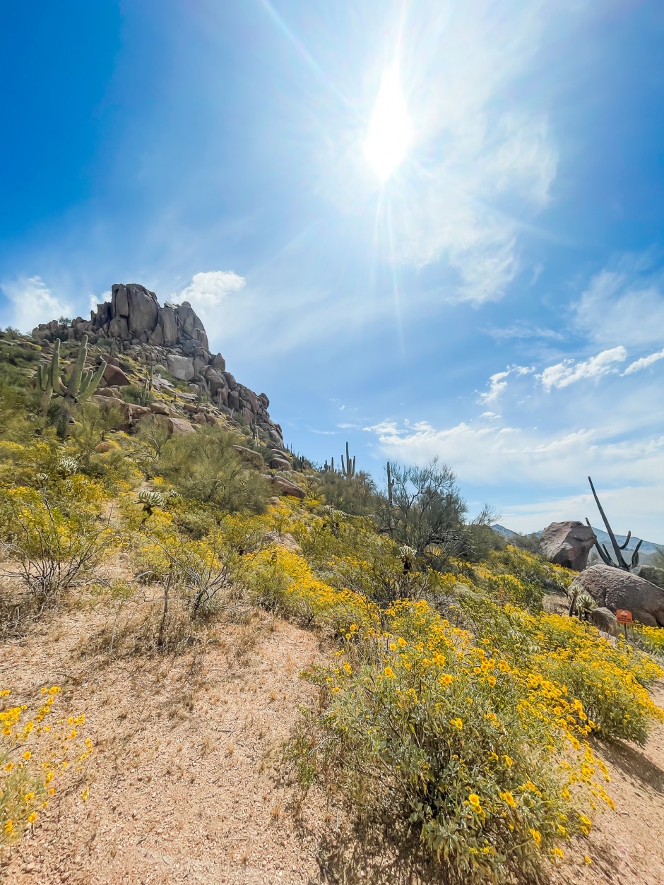 pinnacle peak scottsdale